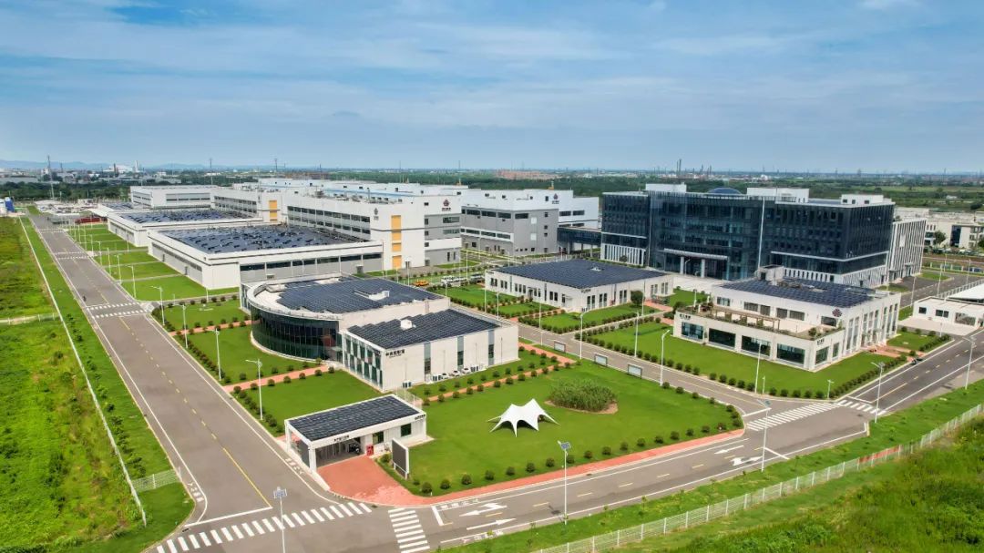 锂电大厂业绩出炉，一年净赚6亿元