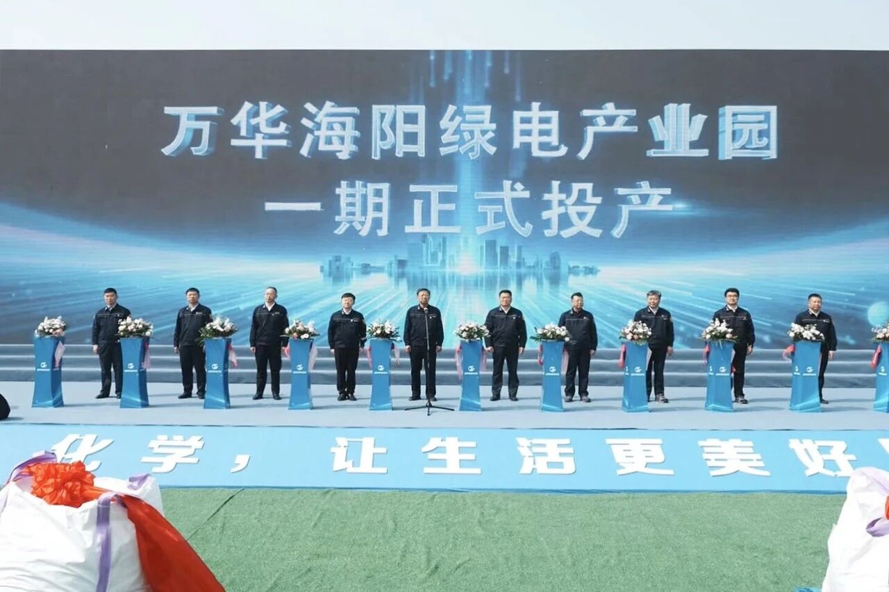 万华10万吨磷酸铁锂项目，山东投产