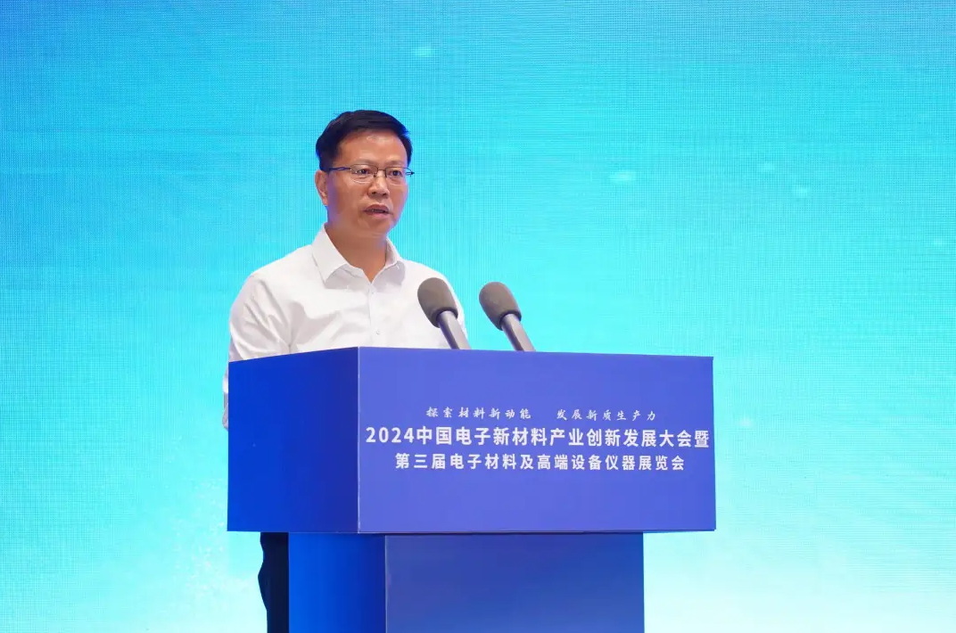中国电子新材料产业创新发展(百色)大会暨中国固态电池产学研技术交流会召开(图5)