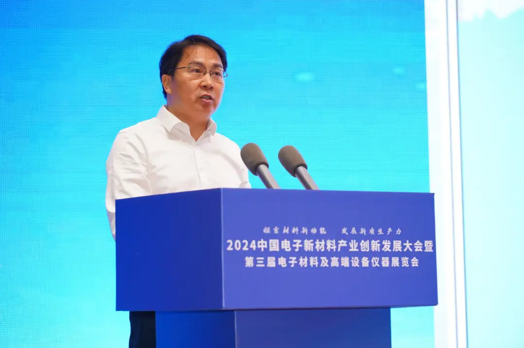 中国电子新材料产业创新发展(百色)大会暨中国固态电池产学研技术交流会召开(图6)