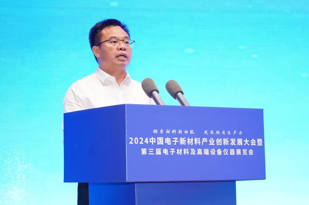 中国电子新材料产业创新发展(百色)大会暨中国固态电池产学研技术交流会召开(图3)