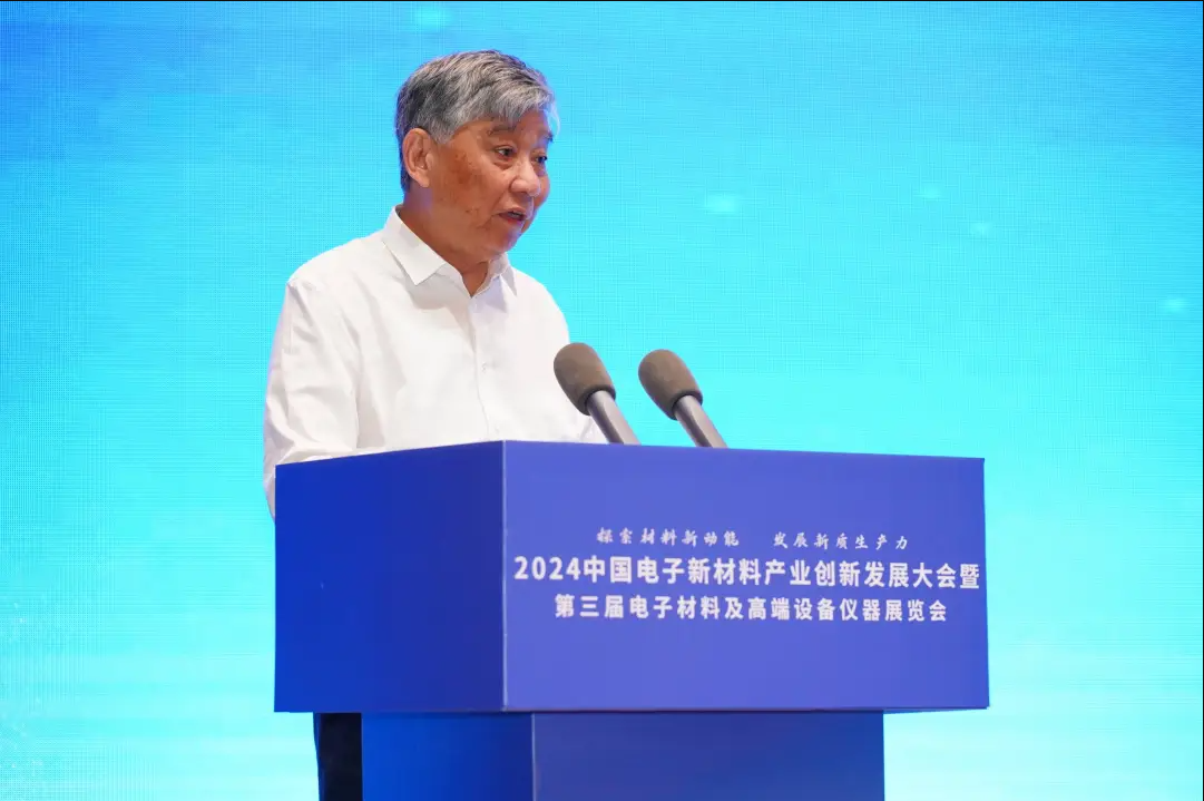 中国电子新材料产业创新发展(百色)大会暨中国固态电池产学研技术交流会召开(图4)