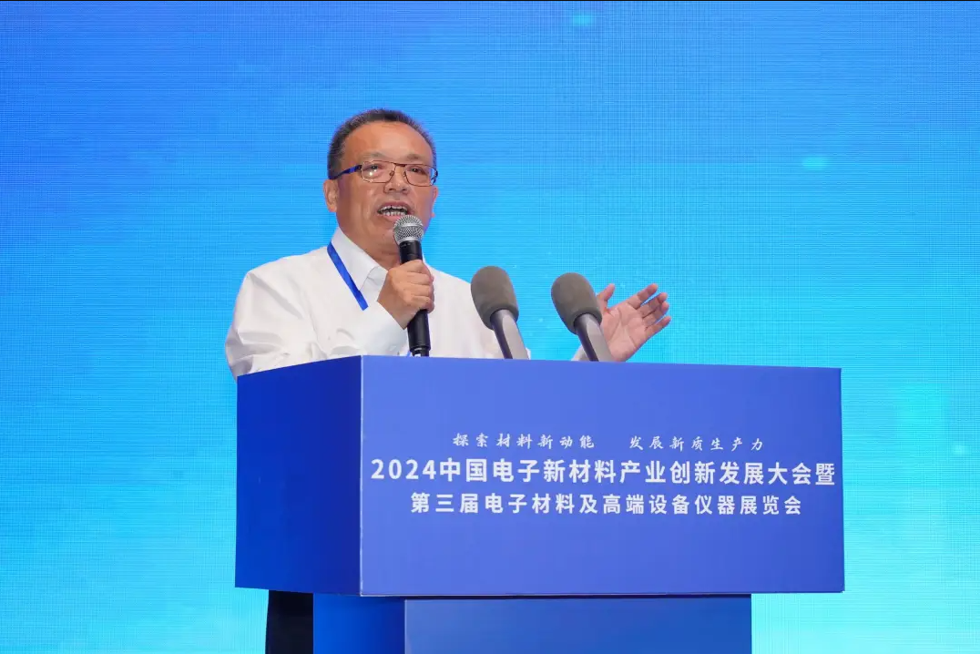 中国电子新材料产业创新发展(百色)大会暨中国固态电池产学研技术交流会召开(图8)