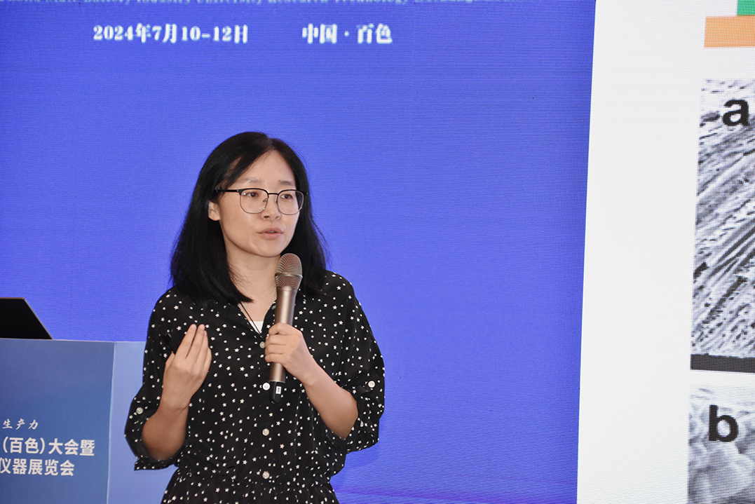 中国电子新材料产业创新发展(百色)大会暨中国固态电池产学研技术交流会召开(图19)