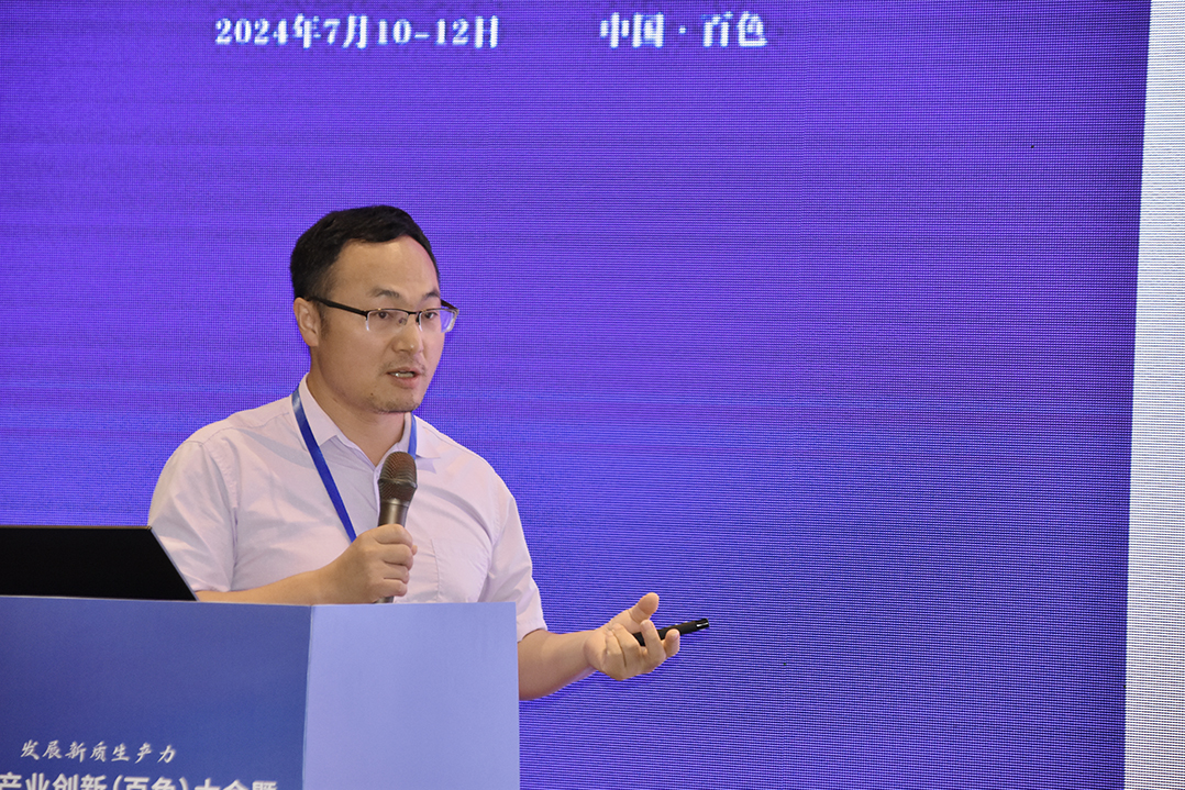 中国电子新材料产业创新发展(百色)大会暨中国固态电池产学研技术交流会召开(图20)