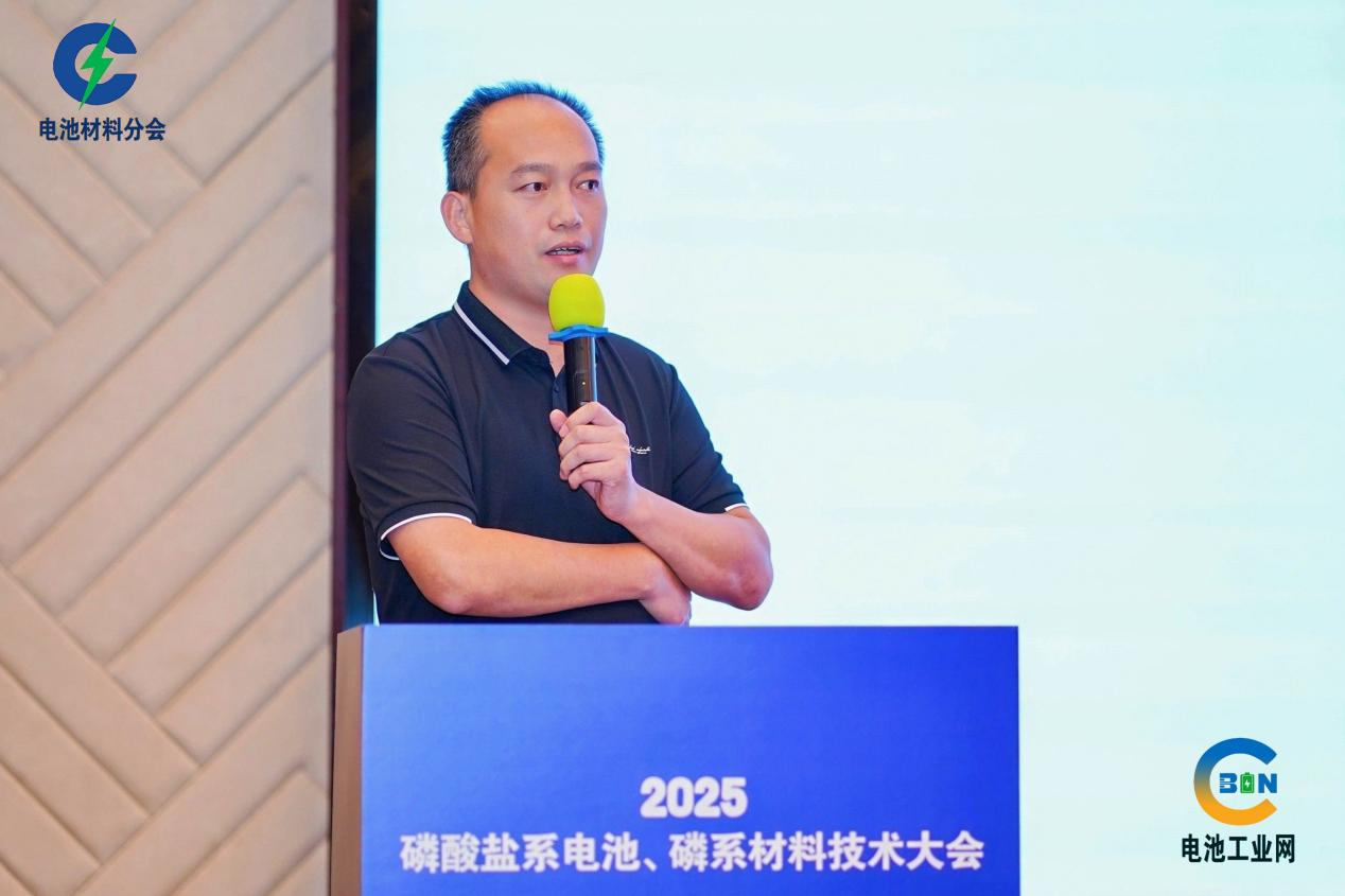 【演讲嘉宾】曹雁冰 | 聚阴离子锰基材料可控制备与结构改性(图1)